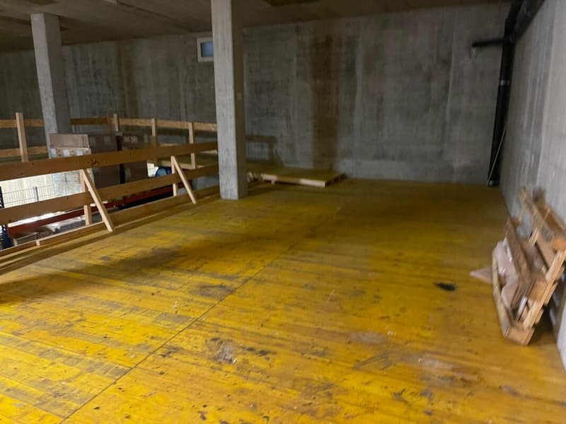 Gewerberaum und Lagerfläche in Aesch BL (2)