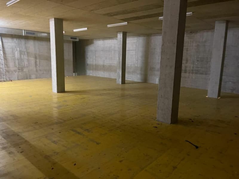 Gewerberaum und Lagerfläche in Aesch BL (1)