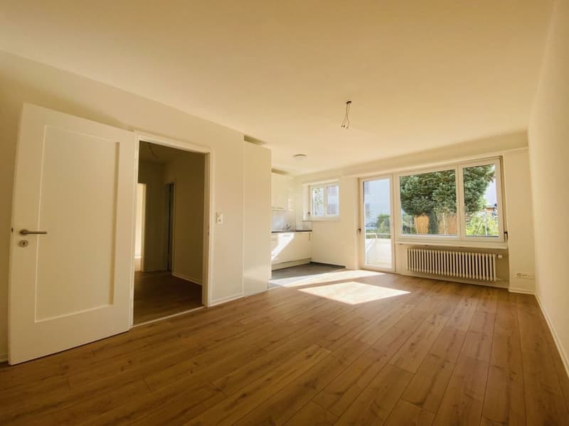 Total renovierte 2.5-Zimmer mit Balkon und Kellerabteil (1013) (3)