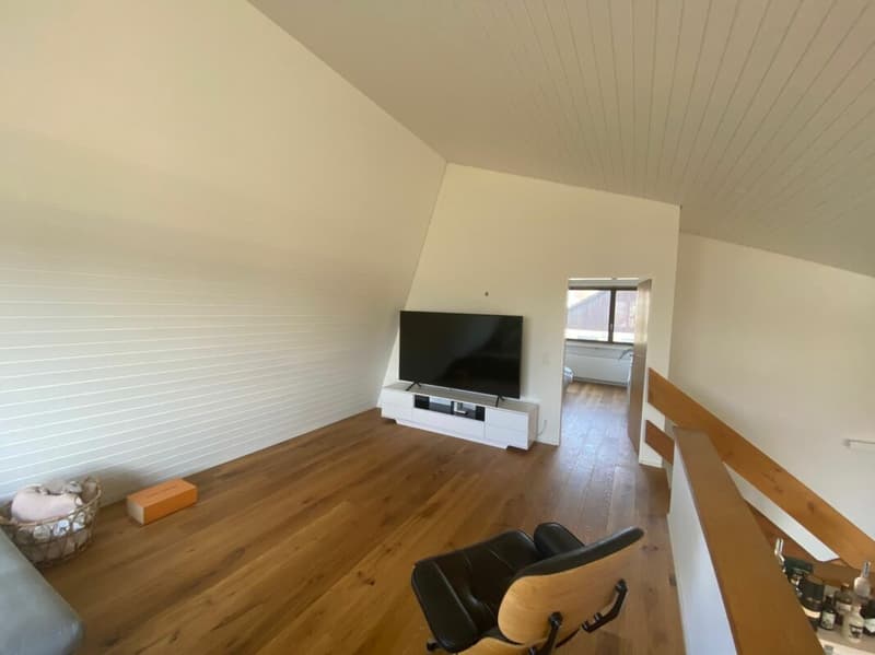 Freistehendes 5.5-Zimmer-EFH mit Wintergarten, Garage und sonnigem Garten (15)