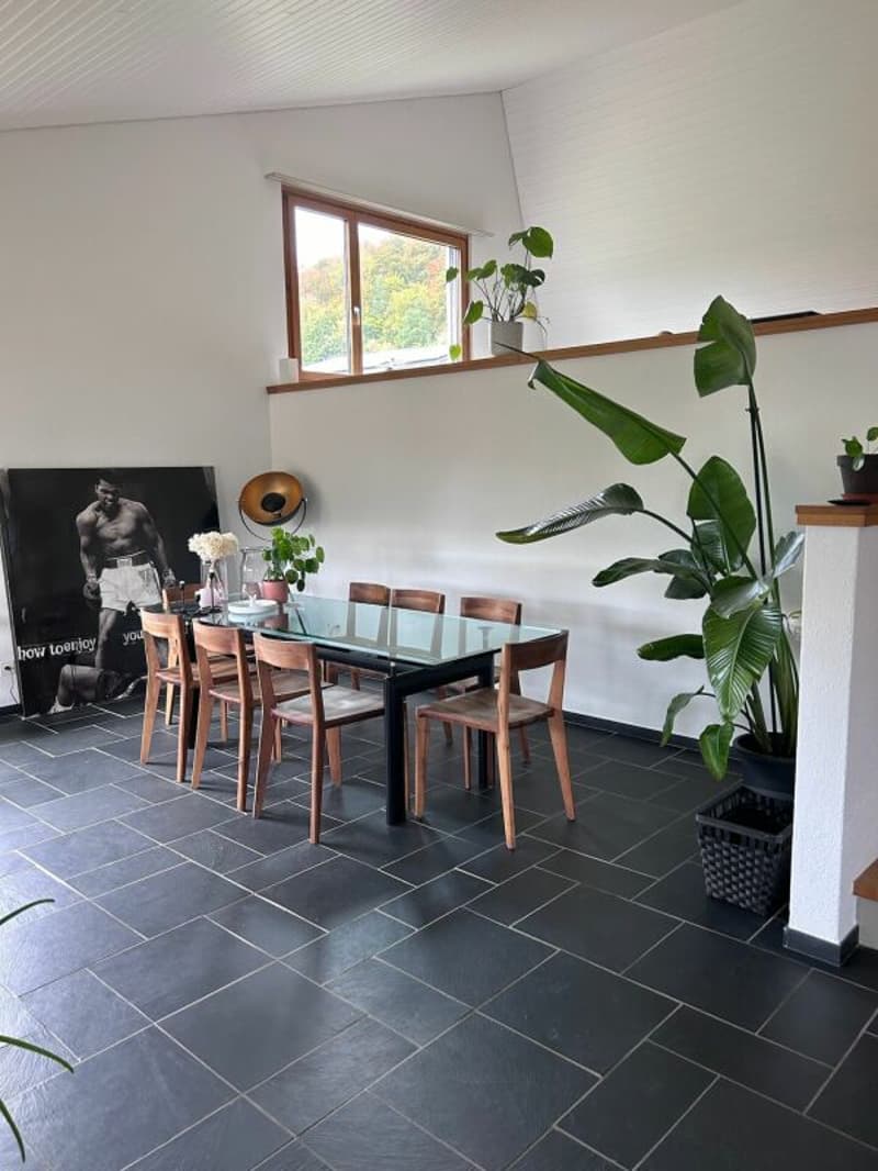 Freistehendes 5.5-Zimmer-EFH mit Wintergarten, Garage und sonnigem Garten (8)