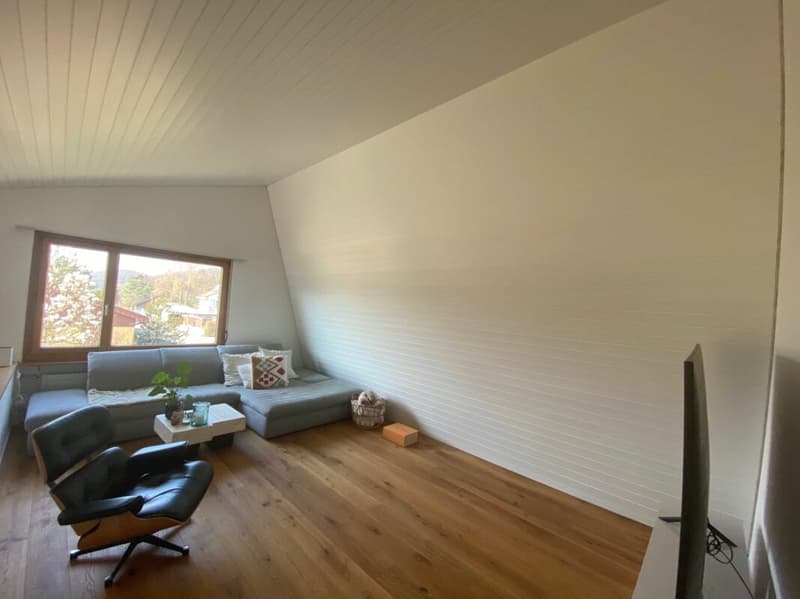 Freistehendes 5.5-Zimmer-EFH mit Wintergarten, Garage und sonnigem Garten (14)