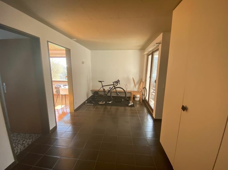 Freistehendes 5.5-Zimmer-EFH mit Wintergarten, Garage und sonnigem Garten (9)