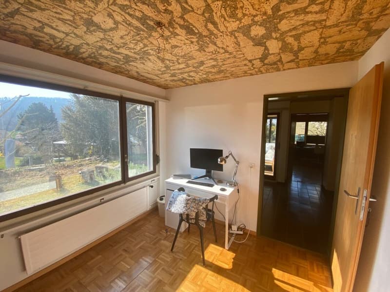 Freistehendes 5.5-Zimmer-EFH mit Wintergarten, Garage und sonnigem Garten (11)