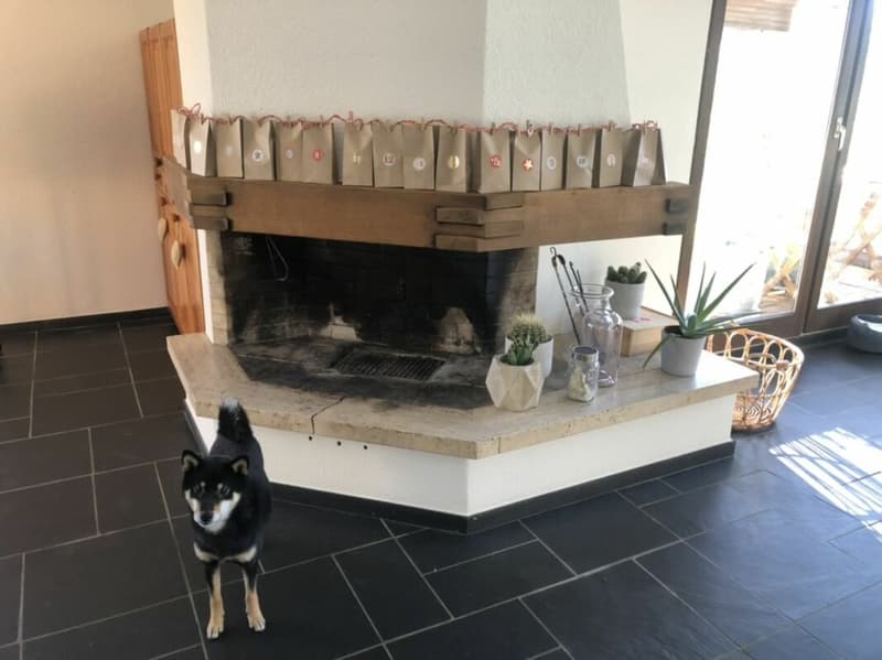 Freistehendes 5.5-Zimmer-EFH mit Wintergarten, Garage und sonnigem Garten (19)