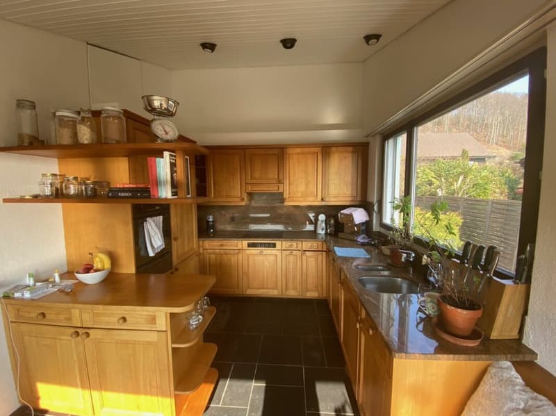 Freistehendes 5.5-Zimmer-EFH mit Wintergarten, Garage und sonnigem Garten (12)