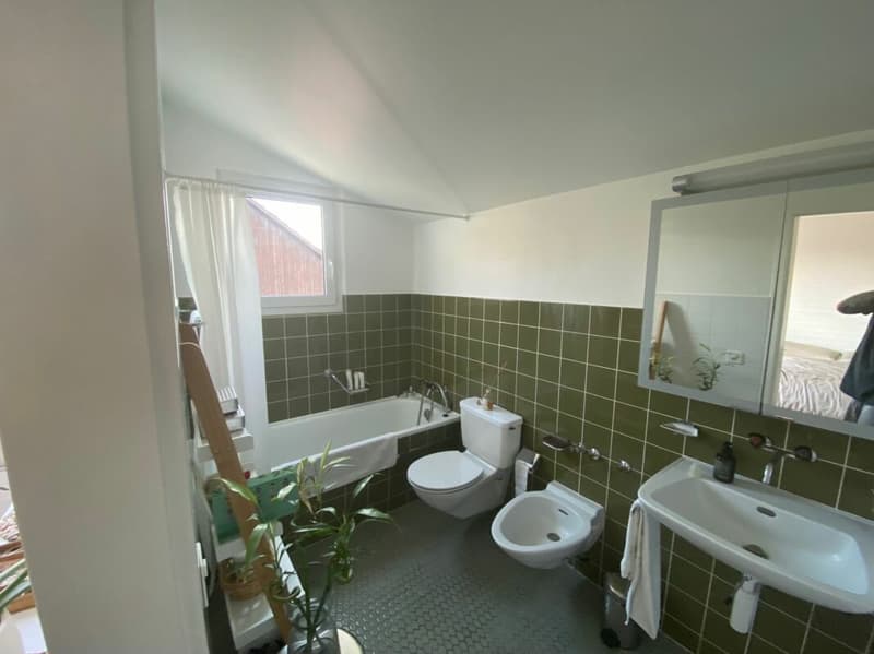 Freistehendes 5.5-Zimmer-EFH mit Wintergarten, Garage und sonnigem Garten (17)