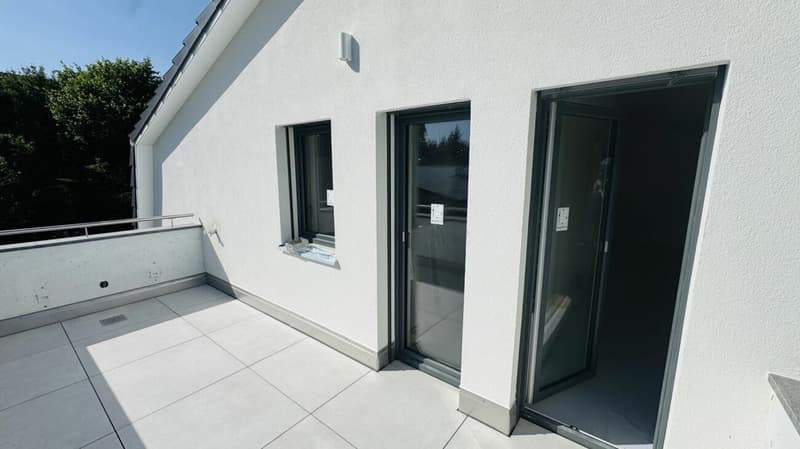 Neue 3.5- und 4.5-Zimmer-Wohnungen - separat oder zusammen kaufbar (7)