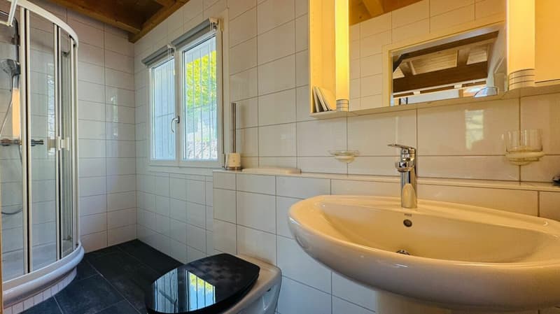 Freistehendes 4.5-Zimmer-Einfamilienhaus mit Pool, Sauna, Wintergarten, Doppelgarage & Aussicht (18)
