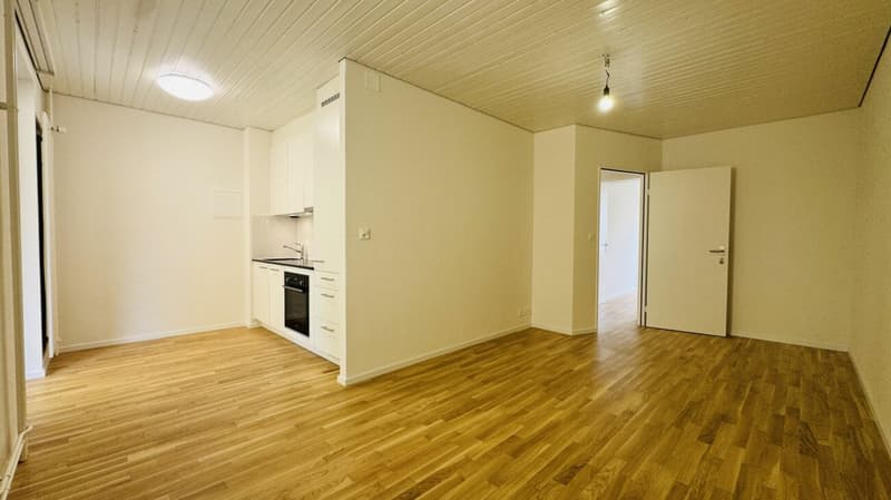 Erstbezug 2.5-Zimmer mit eigener WM/TU, grossem Balkon und Kellerabteil (3)