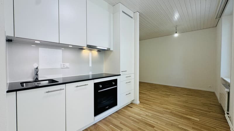 Erstbezug 2.5-Zimmer mit eigener WM/TU, grossem Balkon und Kellerabteil (2)