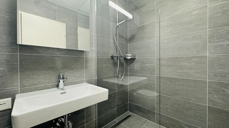 Erstbezug 2.5-Zimmer mit eigener WM/TU, grossem Balkon und Kellerabteil (5)