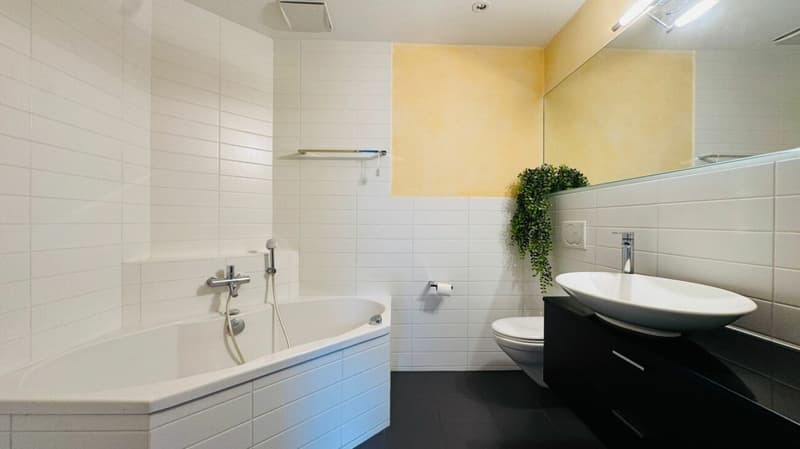 Gepflegte 5.5-Zimmer-Garten-Maisonettewohnung mit Wintergarten, Sitzplatz und Tiefgaragenplatz (12)