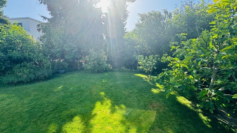 SCHÖNES 6.5-ZIMMER-DOPPEL-EINFAMILIENHAUS MIT WINTERGARTEN, GARTEN & PARKIERUNG AN TOPLAGE (21)