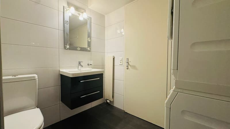 SCHÖNES 6.5-ZIMMER-DOPPEL-EINFAMILIENHAUS MIT WINTERGARTEN, GARTEN & PARKIERUNG AN TOPLAGE (9)