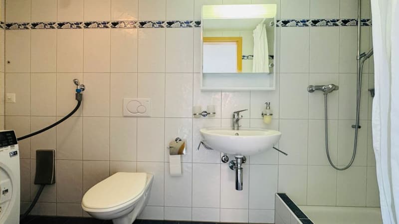 5-Zimmer-Wohnung mit mehreren Terrassen und ein Parkplatz inklusive (8)