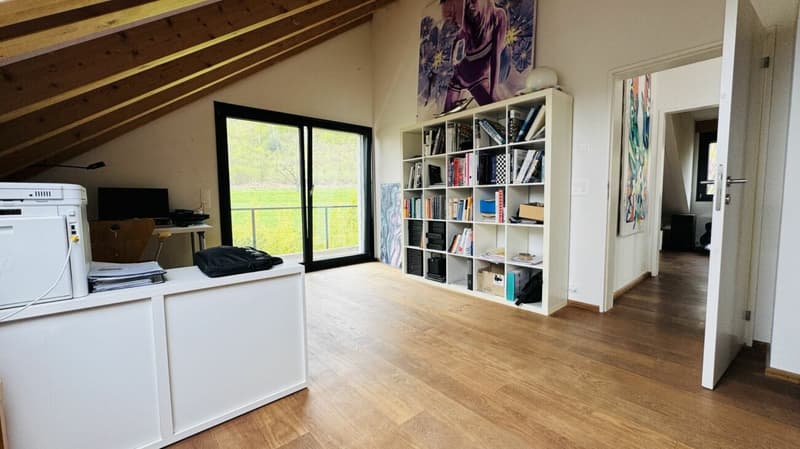 Exklusives Anwesen mit Villa, Nebenhaus, separater Wohneinheit, Praxis, Einstellhalle, Pool u. v. m. (35)