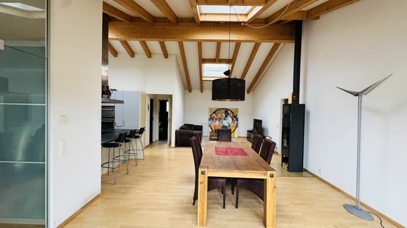 Exklusives Anwesen mit Villa, Nebenhaus, separater Wohneinheit, Praxis, Einstellhalle, Pool u. v. m. (19)