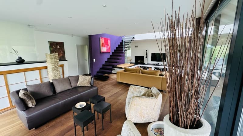 Exklusives Anwesen mit Villa, Nebenhaus, separater Wohneinheit, Praxis, Einstellhalle, Pool u. v. m. (31)