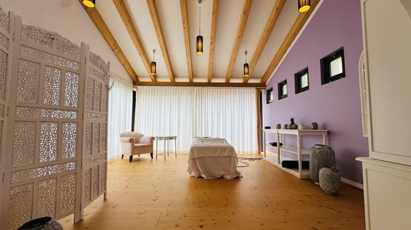Exklusives Anwesen mit Villa, Nebenhaus, separater Wohneinheit, Praxis, Einstellhalle, Pool u. v. m. (20)