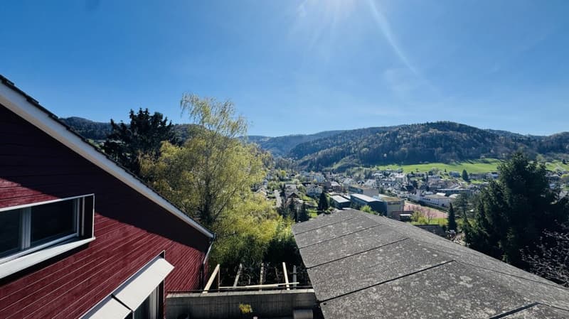 6.5-Zimmer-Architektenhaus mit Pool, Garagenbox, 3 Parkplätzen und Weitsicht (36)