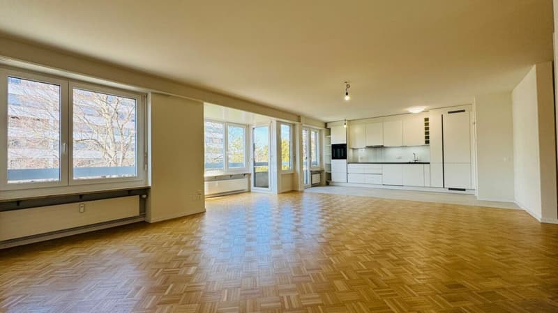 Komplett sanierte 3.5-Zimmerwohnung mit 2 Bädern, 2 Balkonen & Tiefgaragenplatz - direkt am Schützenmattpark (9)