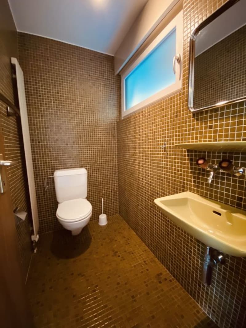 Gepflegtes 5.5-Zimmer Doppelhaus mit Garten, Garage und Parkplatz (11)