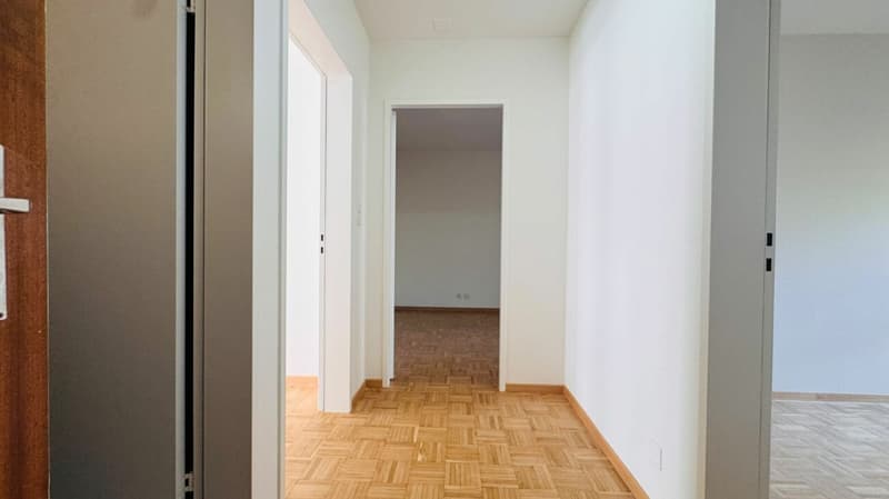 Schöne 3.5-Zimmer-Wohnung mit neuer Küche, neuem Bad, kleinem Balkon und Kellerabteil (8)