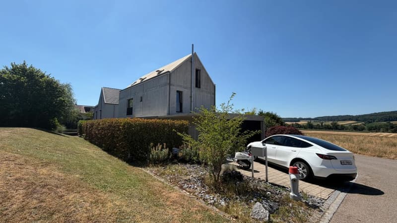Architektonisches 5.5-Zimmer-Designerhaus mit Loftcharakter und weitläufiger Blick ins Grüne (21)