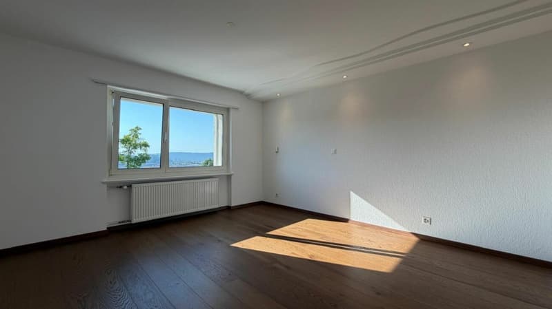 Neuwertiges Familienhaus mit traumhafter Aussicht Umfassend saniert - Vielseitig nutzbar - Familienfreundliche Lage (10)