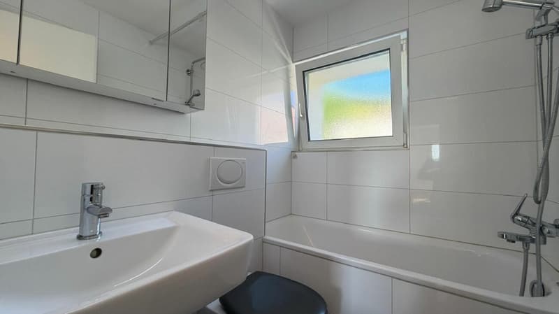 Neuwertiges Familienhaus mit traumhafter Aussicht Umfassend saniert - Vielseitig nutzbar - Familienfreundliche Lage (5)