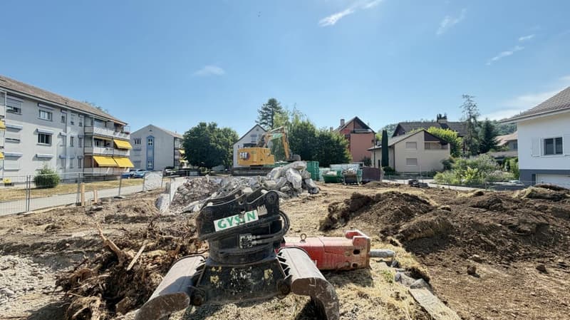 Grosses Neubau EFH, (Haus A), 6.5 Zimmer mit Garten, Studio, 3 Nasszellen, Carport & Parkplatz (19)