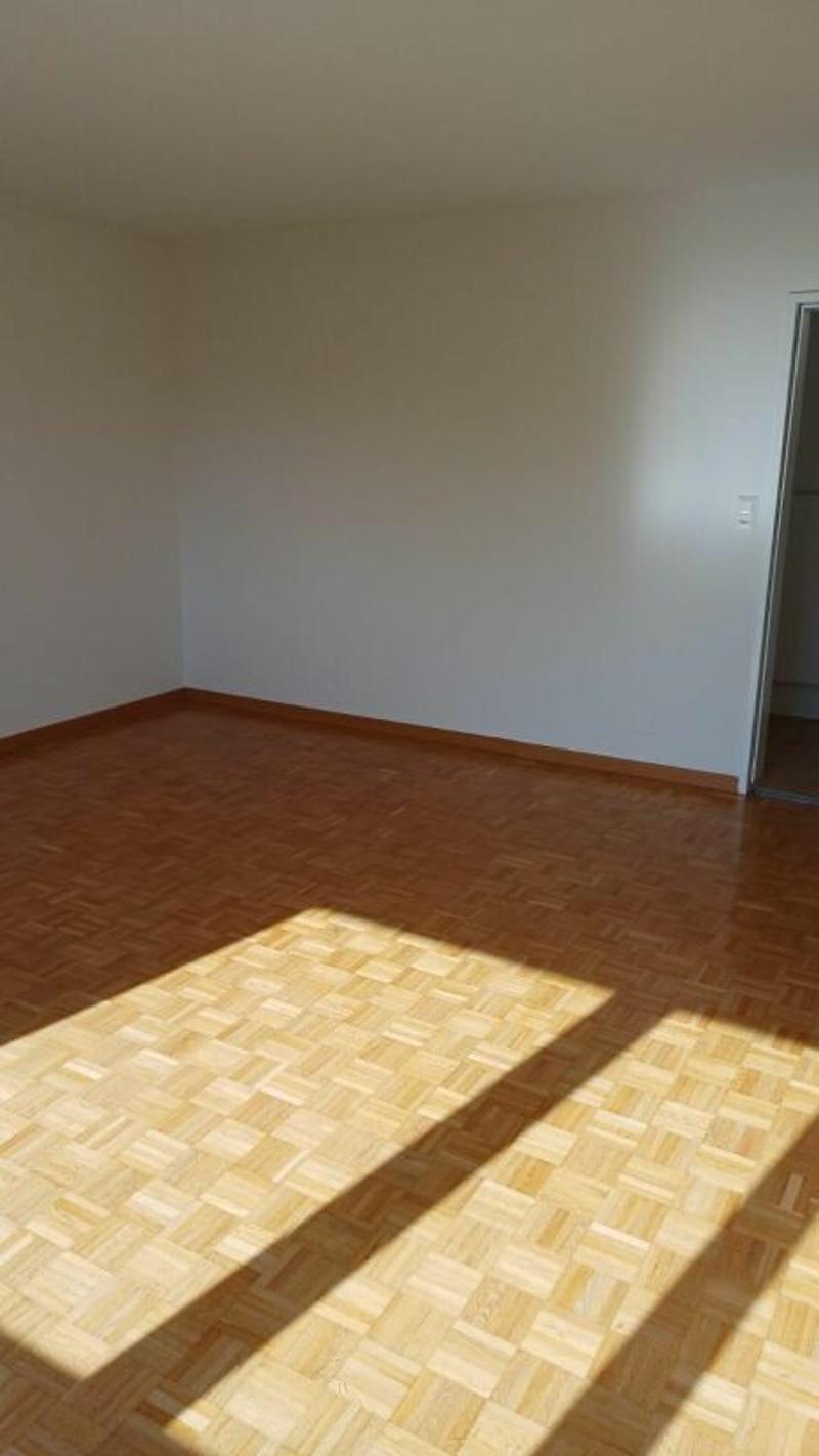 3.5-Zimmerwohnung im Erdgeschoss - Oberackerstrasse 4, 5113 Holderbank (19)