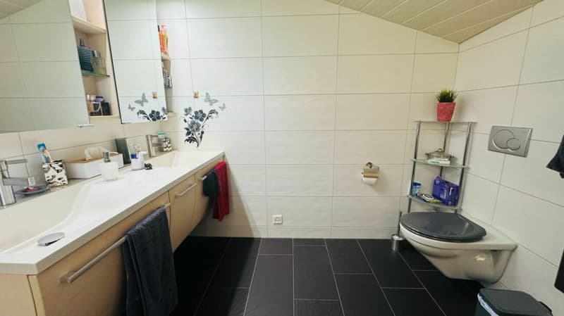 Nachhaltiges 7.5-Zimmer-Einfamilienhaus mit Photovoltaikanlage, Pool, Sauna & Fitness (15)