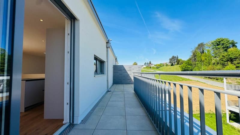 Neubau-Doppelhaushälfte in Laufen (BL) in ruhiger Lage mit optimaler Infrastruktur (19)