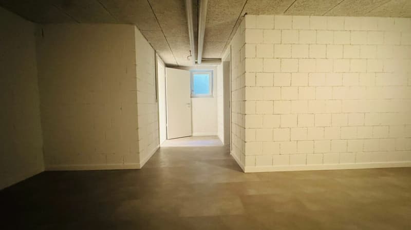 Neubau-Doppelhaushälfte in Laufen (BL) in ruhiger Lage mit optimaler Infrastruktur (24)
