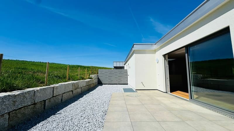 Neubau-Doppelhaushälfte in Laufen (BL) in ruhiger Lage mit optimaler Infrastruktur (14)