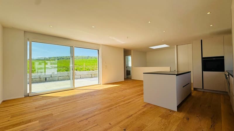 Neubau-Doppelhaushälfte in Laufen (BL) in ruhiger Lage mit optimaler Infrastruktur (2)