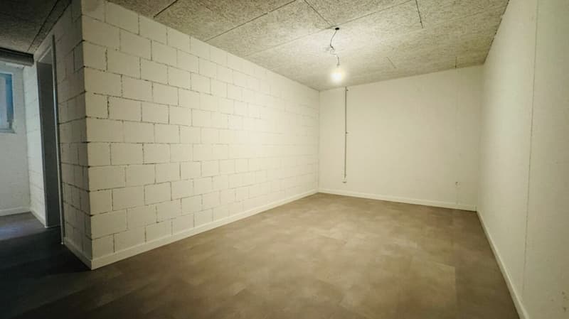 Neubau-Doppelhaushälfte in Laufen (BL) in ruhiger Lage mit optimaler Infrastruktur (25)