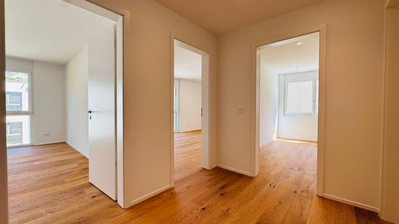 Neubau-Doppelhaushälfte in Laufen (BL) in ruhiger Lage mit optimaler Infrastruktur (5)