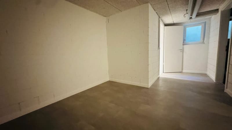Neubau-Doppelhaushälfte in Laufen (BL) in ruhiger Lage mit optimaler Infrastruktur (21)