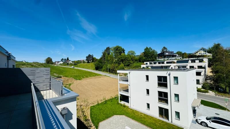 Neubau-Doppelhaushälfte in Laufen (BL) in ruhiger Lage mit optimaler Infrastruktur (17)