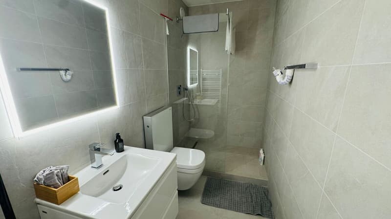 Komplett sanierte 3.5-Zimmerwohnung mit 2 Bädern, 2 Balkonen und 1 Tiefgaragenplatz (10)
