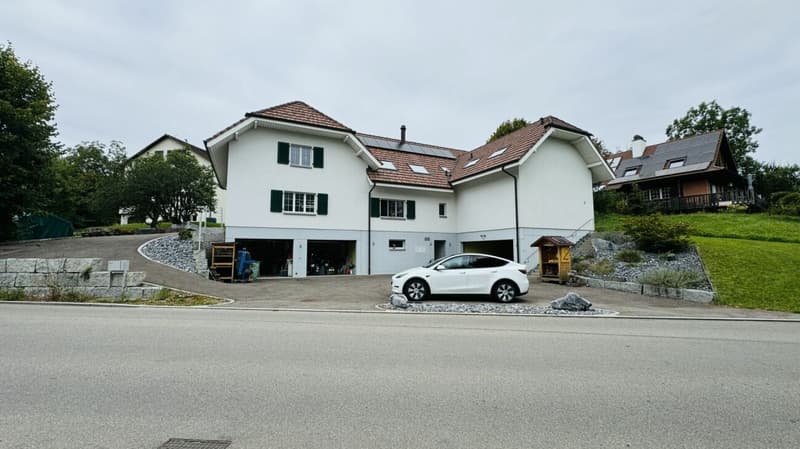 Grosses, neuwertiges 6.5-Zi. EFH, 6 Garagenplätze + 4 Parkplätze, Koi-Teich, Kinozimmer, 3 Nasszellen, traumhafte Lage, nur 10 Min. von Bubendorf (17)