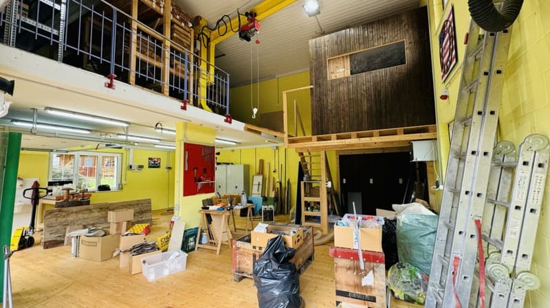 Grosses, neuwertiges 6.5-Zi. EFH, 6 Garagenplätze + 4 Parkplätze, Koi-Teich, Kinozimmer, 3 Nasszellen, traumhafte Lage, nur 10 Min. von Bubendorf (37)