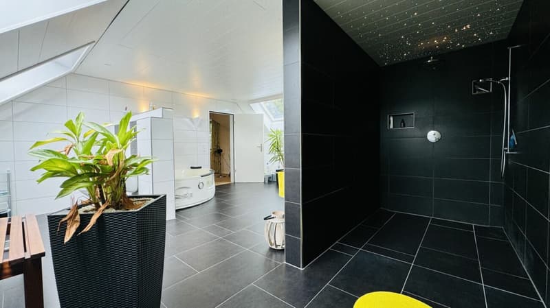 Grosses, neuwertiges 6.5-Zi. EFH, 6 Garagenplätze + 4 Parkplätze, Koi-Teich, Kinozimmer, 3 Nasszellen, traumhafte Lage, nur 10 Min. von Bubendorf (16)