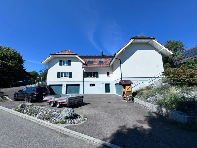Grosses, neuwertiges 6.5-Zi. EFH, 6 Garagenplätze + 4 Parkplätze, Koi-Teich, Kinozimmer, 3 Nasszellen, traumhafte Lage, nur 10 Min. von Bubendorf (4)