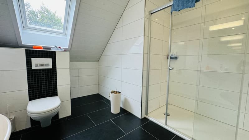 Grosses, neuwertiges 6.5-Zi. EFH, 6 Garagenplätze + 4 Parkplätze, Koi-Teich, Kinozimmer, 3 Nasszellen, traumhafte Lage, nur 10 Min. von Bubendorf (24)