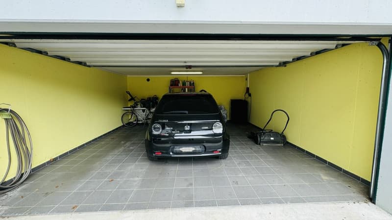Grosses, neuwertiges 6.5-Zi. EFH, 6 Garagenplätze + 4 Parkplätze, Koi-Teich, Kinozimmer, 3 Nasszellen, traumhafte Lage, nur 10 Min. von Bubendorf (33)