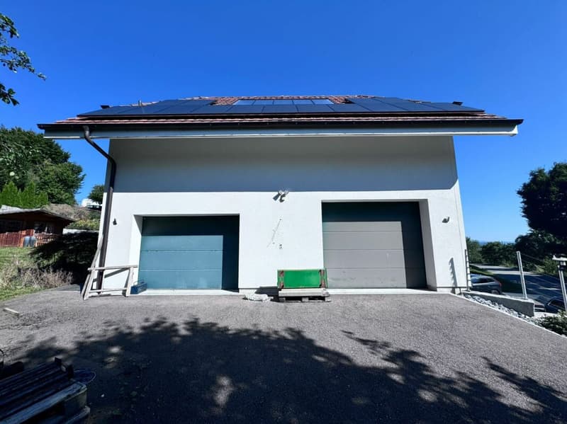 Grosses, neuwertiges 6.5-Zi. EFH, 6 Garagenplätze + 4 Parkplätze, Koi-Teich, Kinozimmer, 3 Nasszellen, traumhafte Lage, nur 10 Min. von Bubendorf (2)